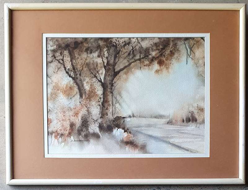 Original framed watercolour  painting by D. BEZUIDENHOUT as per photos