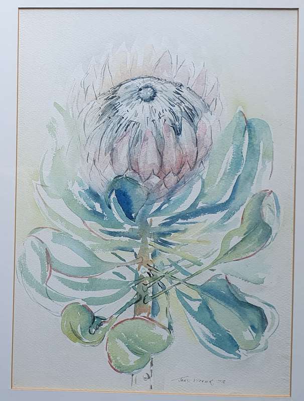 Original JOEY VISSER watercolour painting as per photos