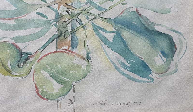 Original JOEY VISSER watercolour painting as per photos