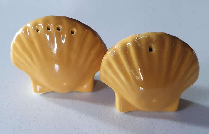 SALT and PEPPER SET - Shells as per photo