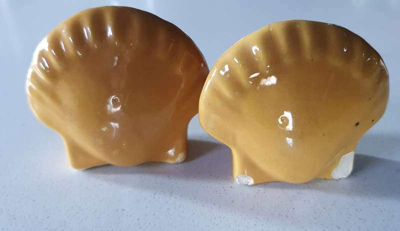 SALT and PEPPER SET - Shells as per photo