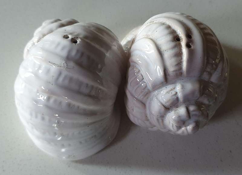 SALT and PEPPER SET - Shells as per photo