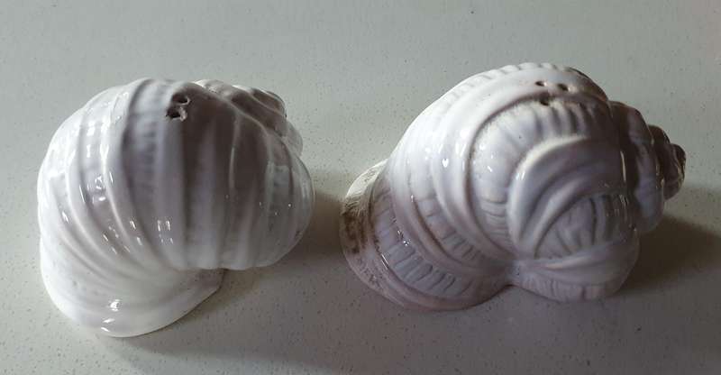 SALT and PEPPER SET - Shells as per photo