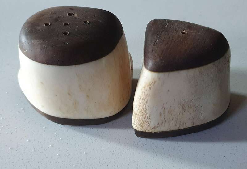 Unique SALT and PEPPER SET - WOOD AND BONE as per photo