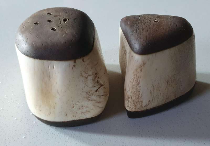Unique SALT and PEPPER SET - WOOD AND BONE as per photo
