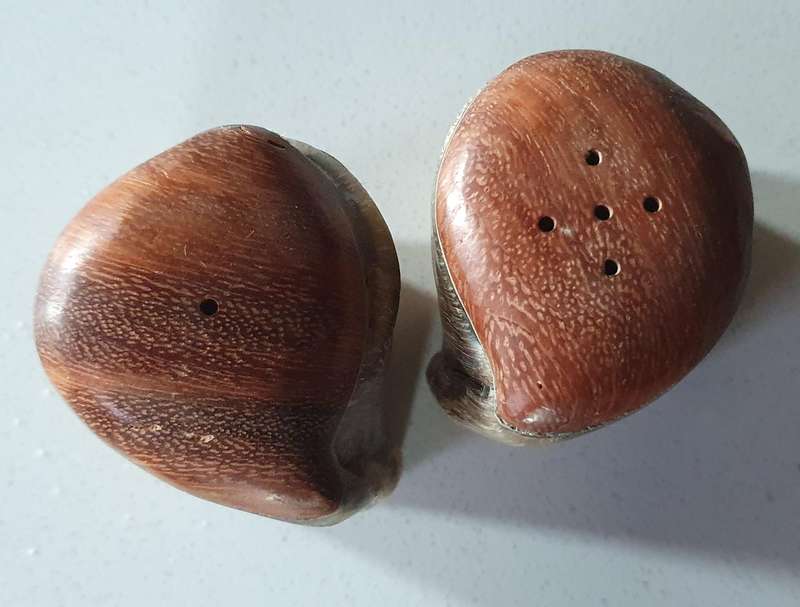 Unique SALT and PEPPER SET - WOOD AND HORN as per photo