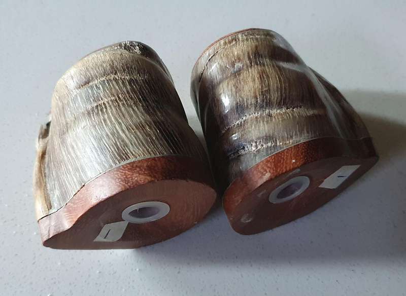 Unique SALT and PEPPER SET - WOOD AND HORN as per photo