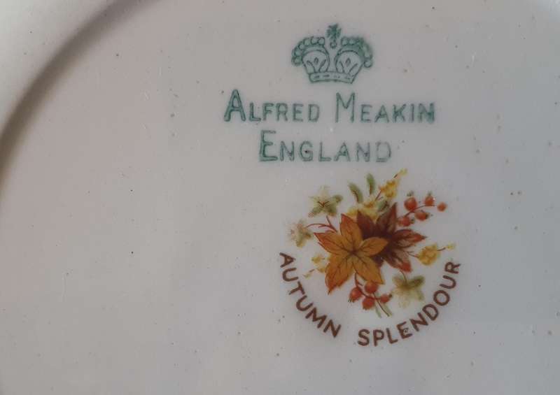 Alfred Meakin England plate - autumn splendour as per photos
