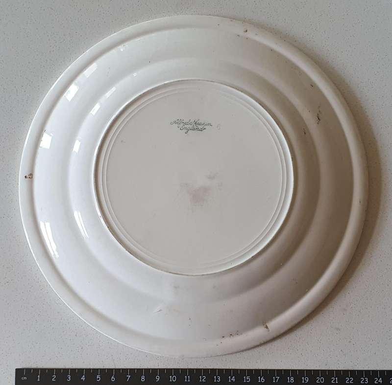 Alfred Meakin plate - Grand Hotel Ladybrand as per photos
