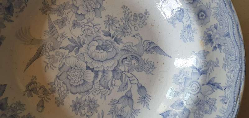 HILL POTTERY bowl - Asiatic Shersants as per photos