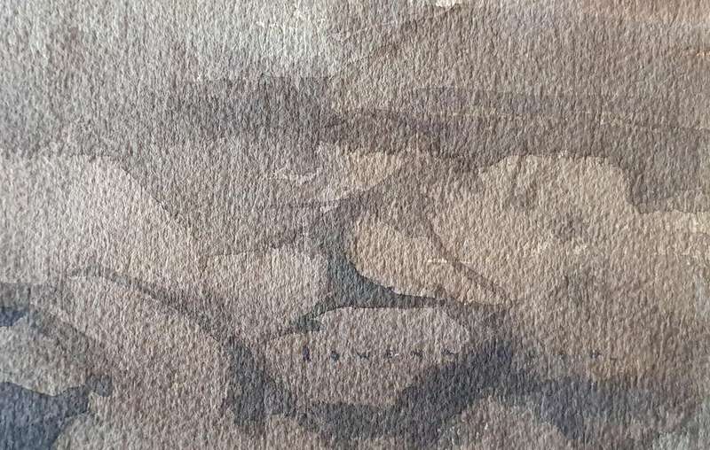 Original unframed watercolour painting by ROWENA BUSH