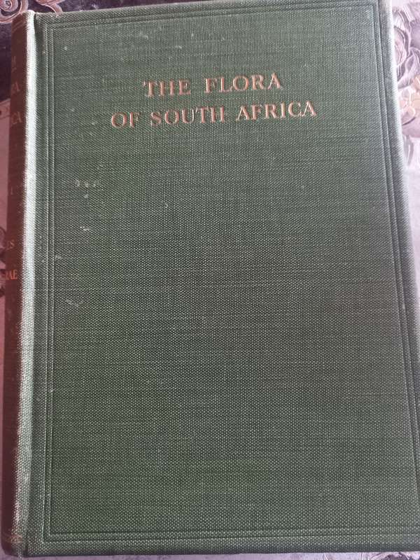 The Flora of South Africa (Rudolf Marloth)