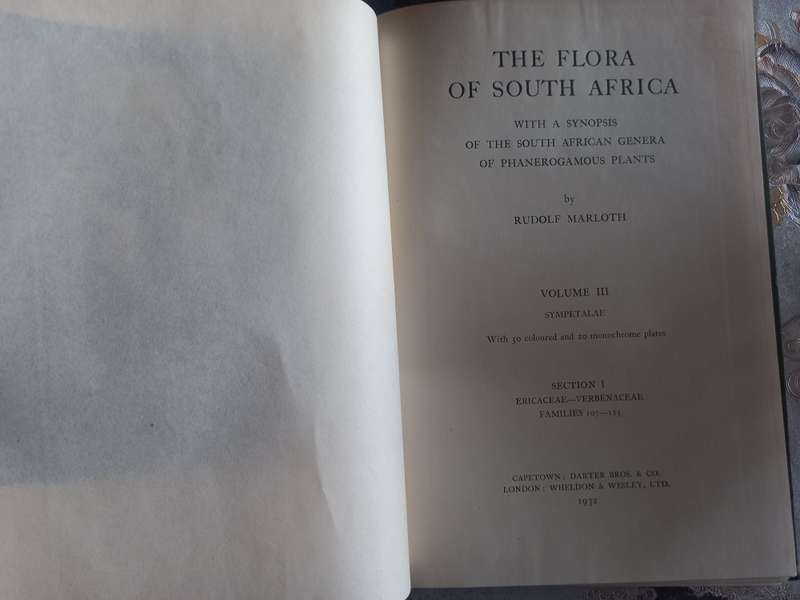 The Flora of South Africa (Rudolf Marloth)