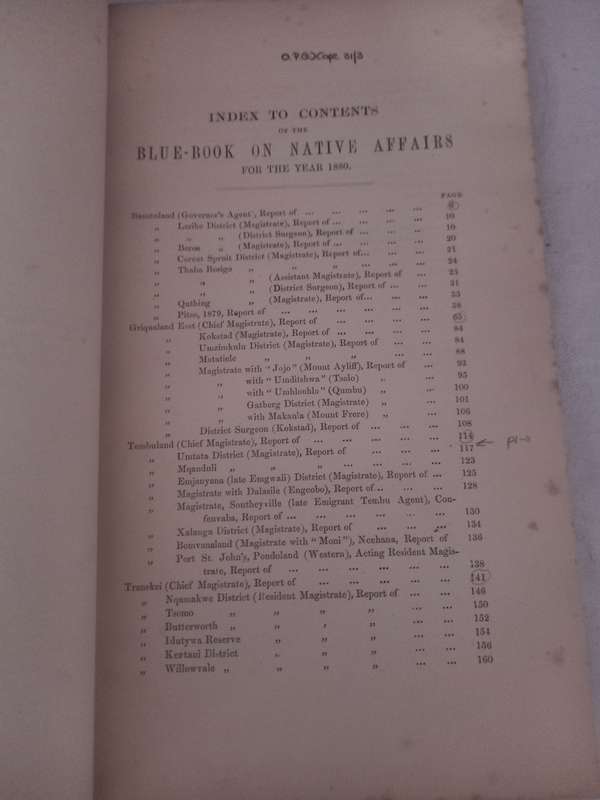 Blue-Book on Native Affairs - 1880 (scarce)