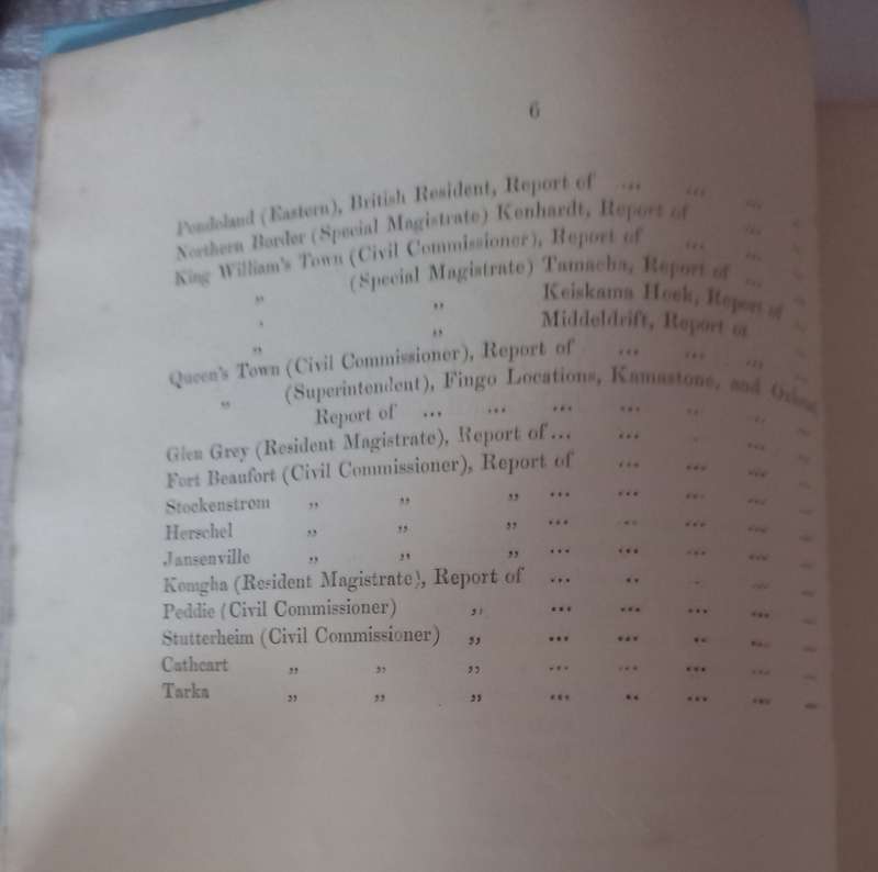 Blue-Book on Native Affairs - 1880 (scarce)