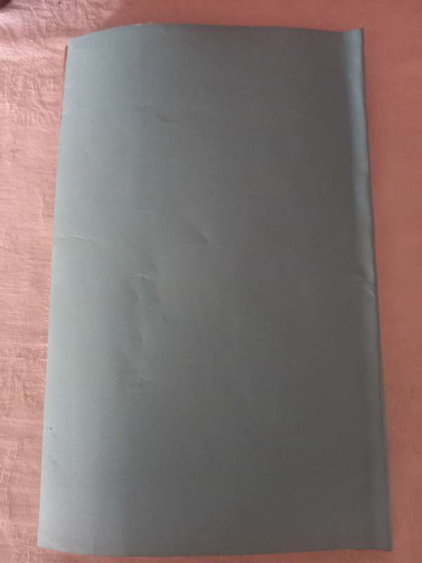 Blue-Book on Native Affairs - 1880 (scarce)