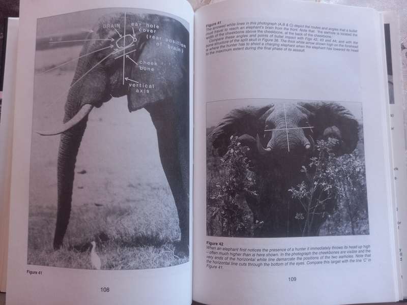 Mahohboh- Elephants and Elephant Hunting in South Central Africa, SIGNED copy