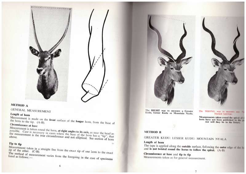 Notes on the Measurement and Recording of African Trophies - Rowland Ward