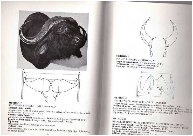 Notes on the Measurement and Recording of African Trophies - Rowland Ward