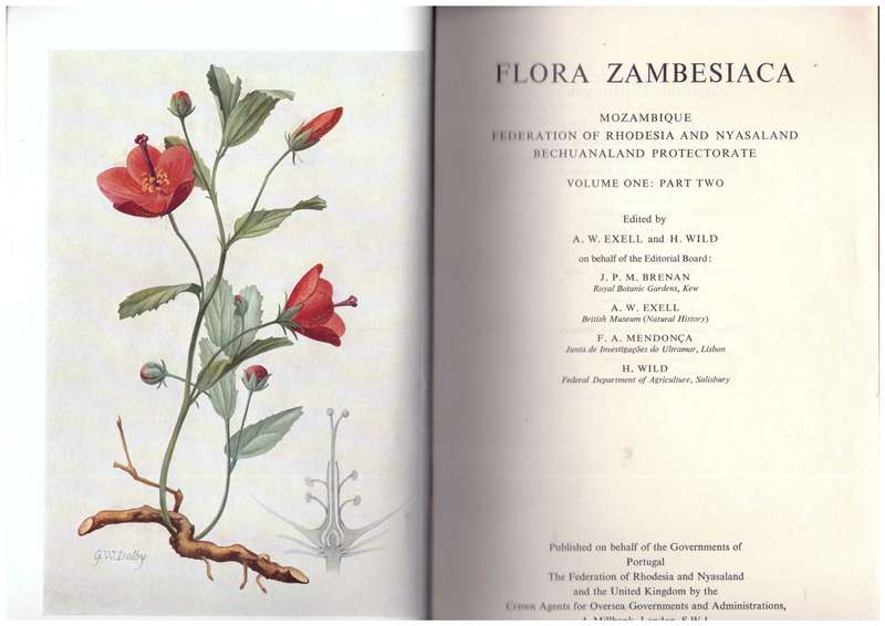 Flora Zambesiaca - Volume one, Part two