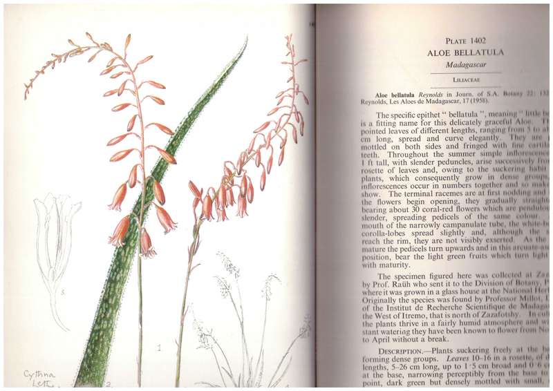 Flowering Plants of Africa - Volume 36, Plates 1401-1440