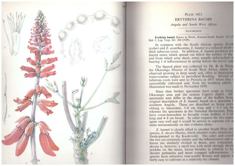 Flowering Plants of Africa - Volume 36, Plates 1401-1440