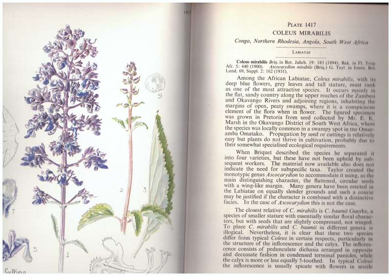 Flowering Plants of Africa - Volume 36, Plates 1401-1440