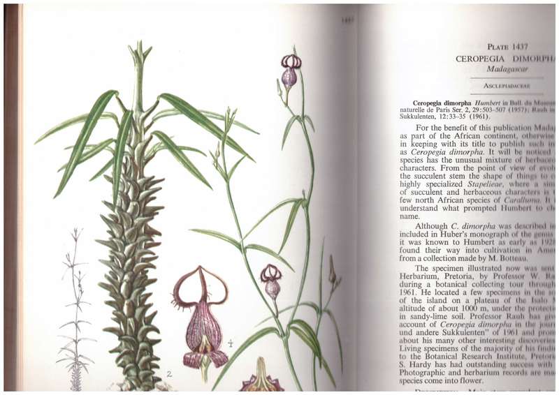 Flowering Plants of Africa - Volume 36, Plates 1401-1440