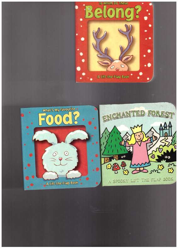 3 x Lift-the-Flap Books - Children books