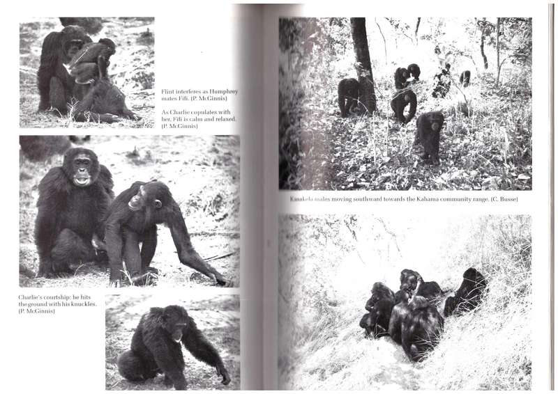 Through A Window, 30 Years with the Chimpanzees of Gombe
