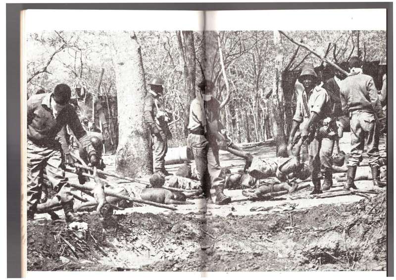 Persecution of South Africa