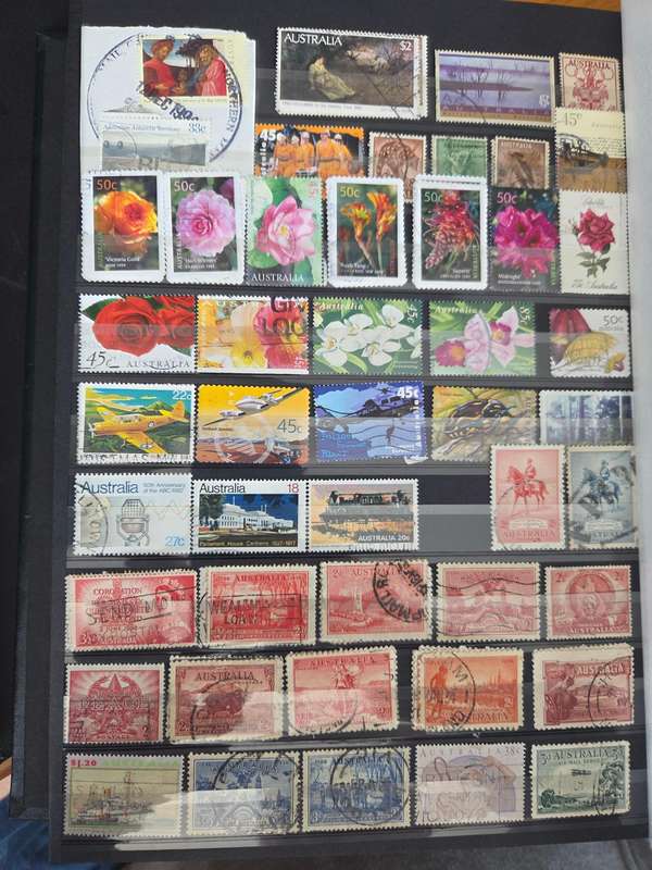 Australia Collection in 3 large stock books, 2000 stamps fine used