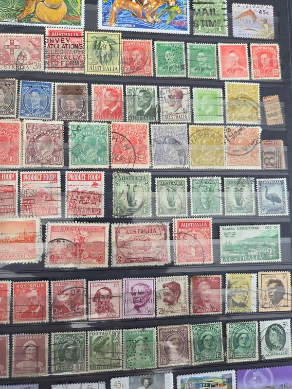 Australia Collection in 3 large stock books, 2000 stamps fine used