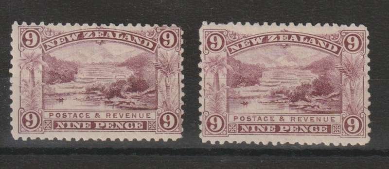 New Zealand 1899 9d both listed shades fine mint