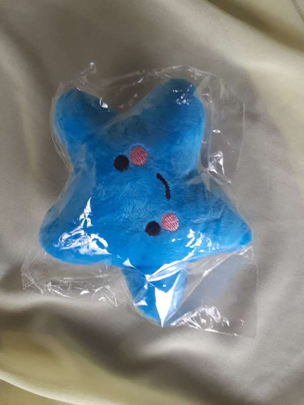 Plush Squeaky Toy Star Assorted Colours