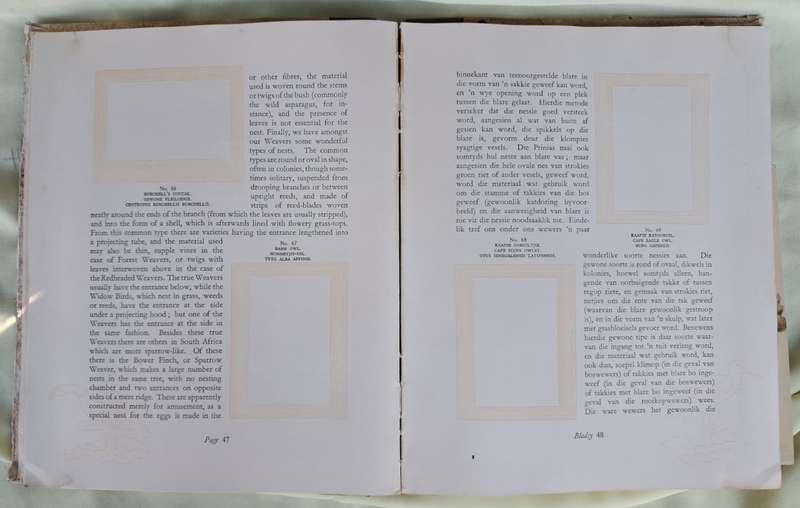 Our South African Birds/Ons Suid-Afrikaanse Voels (1941)