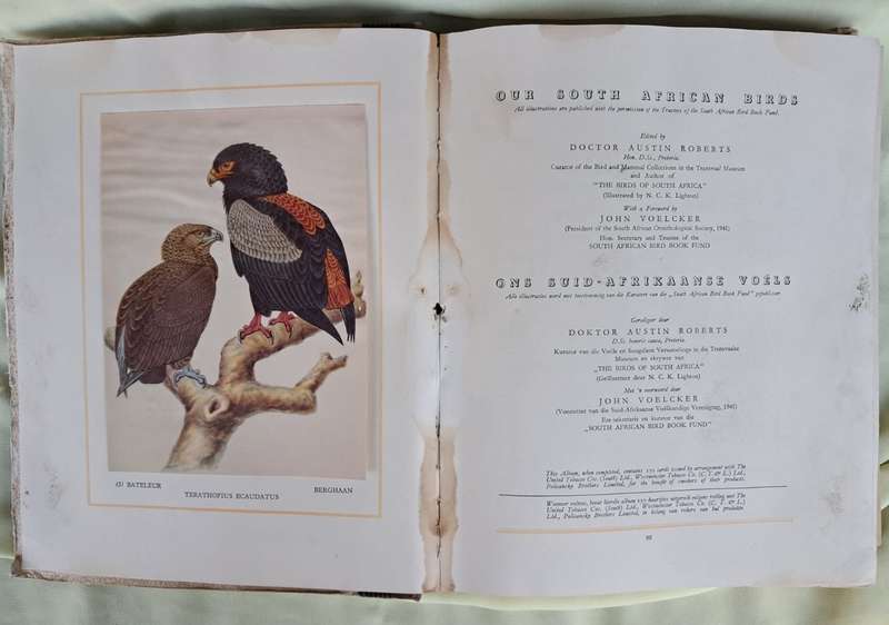 Our South African Birds/Ons Suid-Afrikaanse Voels (1941)