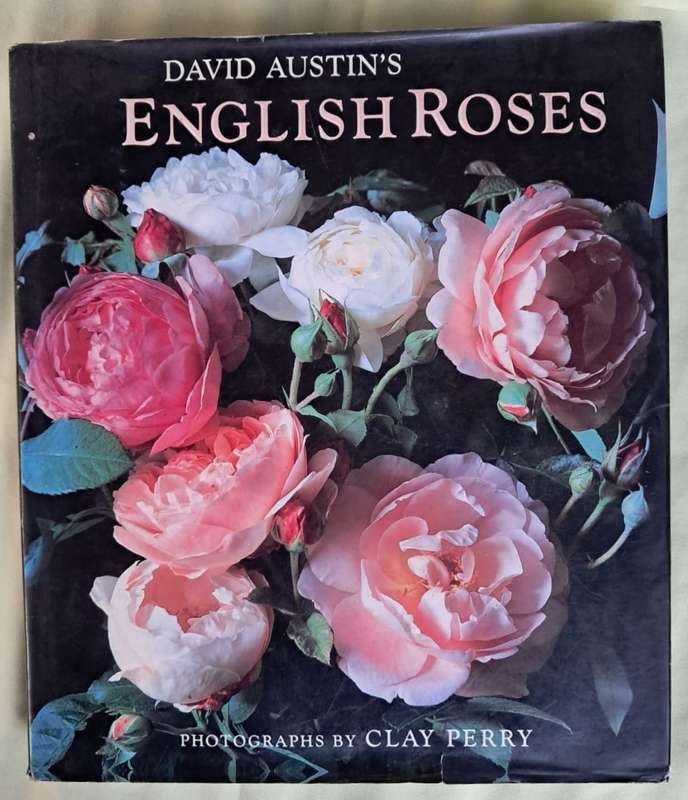 David Austin's English Roses