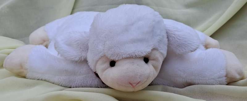 Plush Lamb Pillow - Magnetic