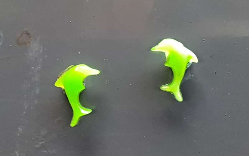 Glow-in-the-dark Non-piercing Magnetic Earrings - Dolphins