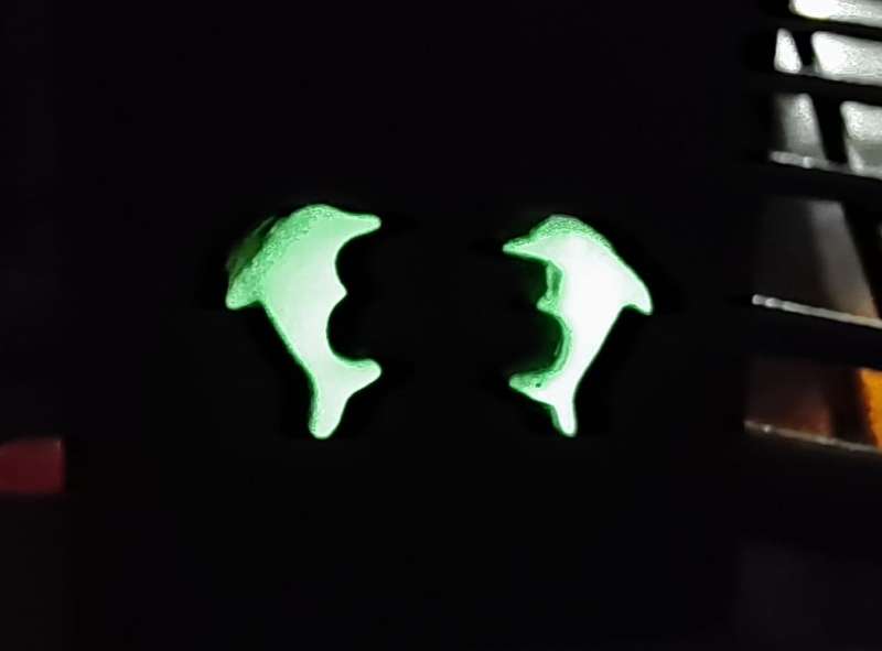 Glow-in-the-dark Non-piercing Magnetic Earrings - Dolphins