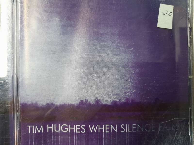 Tim Huges - When silence Falls