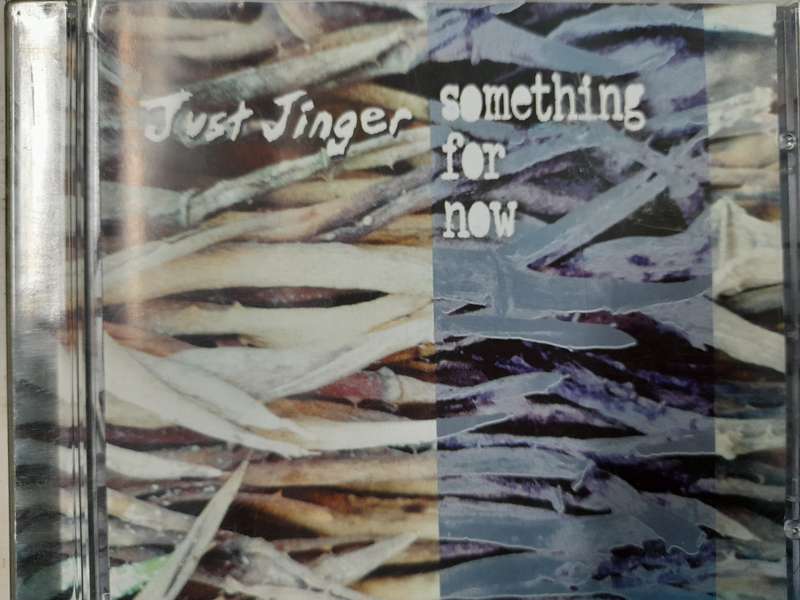 Just Jinger - Something for now