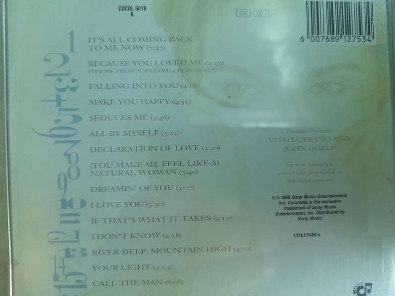 Celine Dion - Falling Into You
