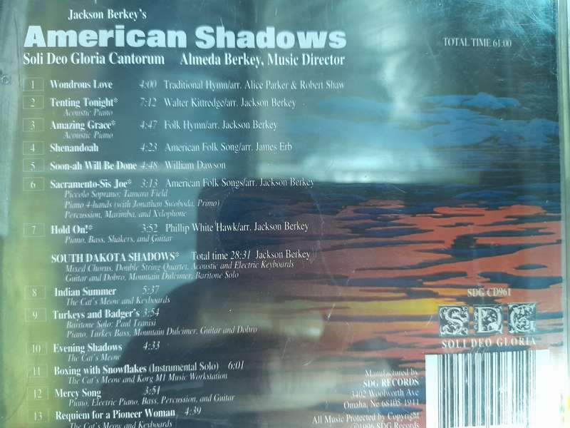 American Shadows