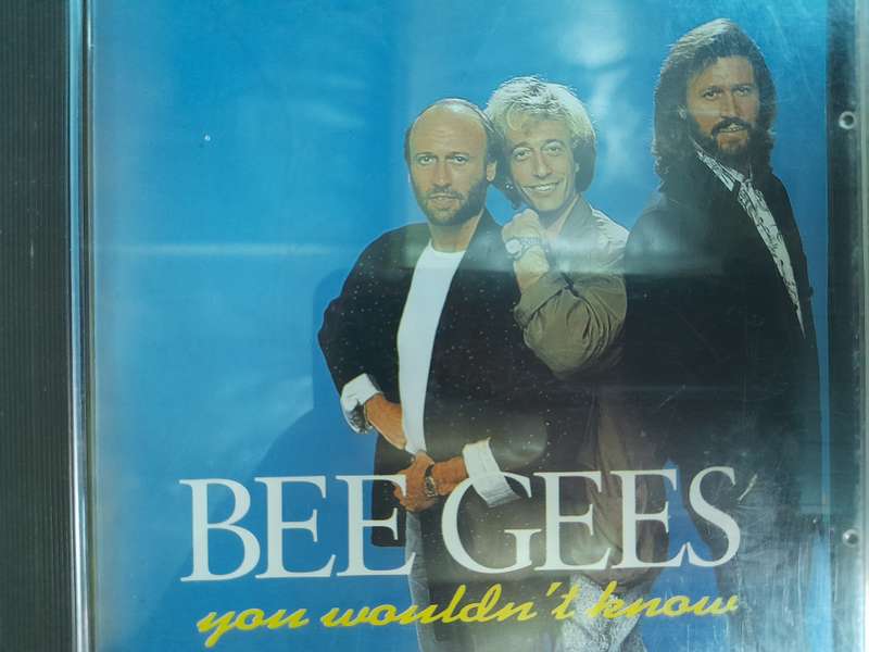 Bee Gees - You wouldn't Know