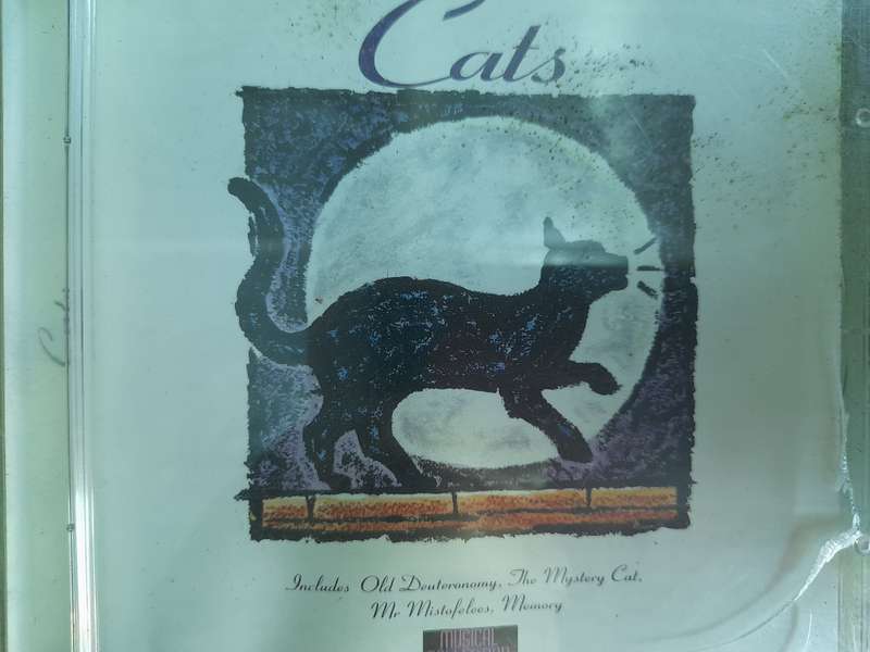 Cats