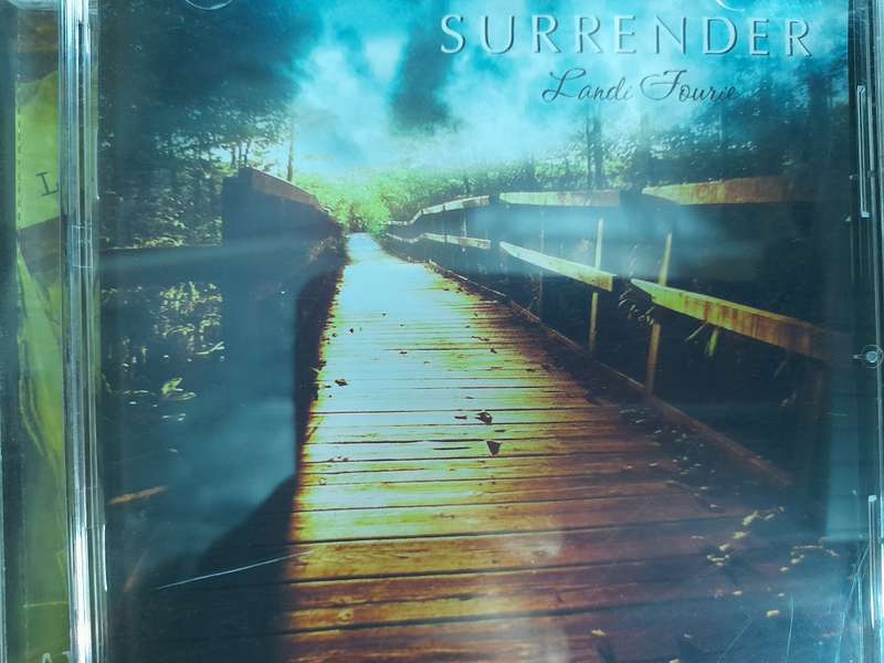 Landi Fourie - Surrender