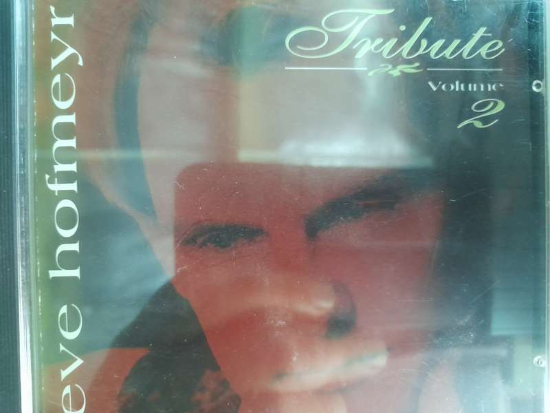 Steve Hofmeyr - Tribute Volume 2