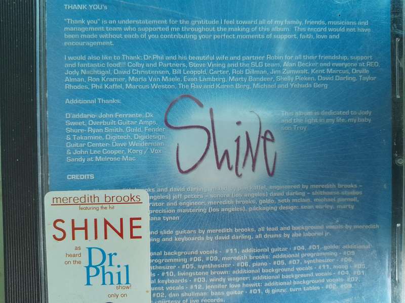 Meredith Brooks - Shine